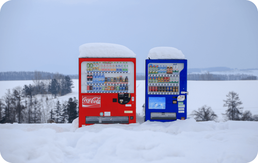Red and blue vending machines covered with snow on top, set against a snowy landscape with bare trees and a cloudy sky.
