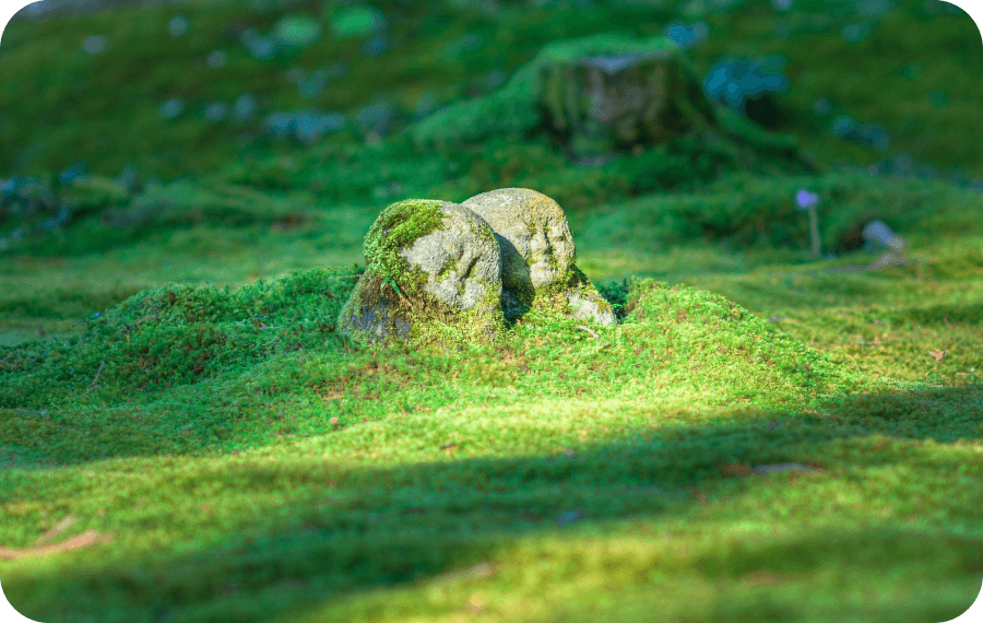 Two small moss-covered stone statues resembling figures lying close together surrounded by lush green moss.